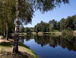 Résidence Vacancéole Domaine du Bosquet Limousin - Égletons visuel 10/15