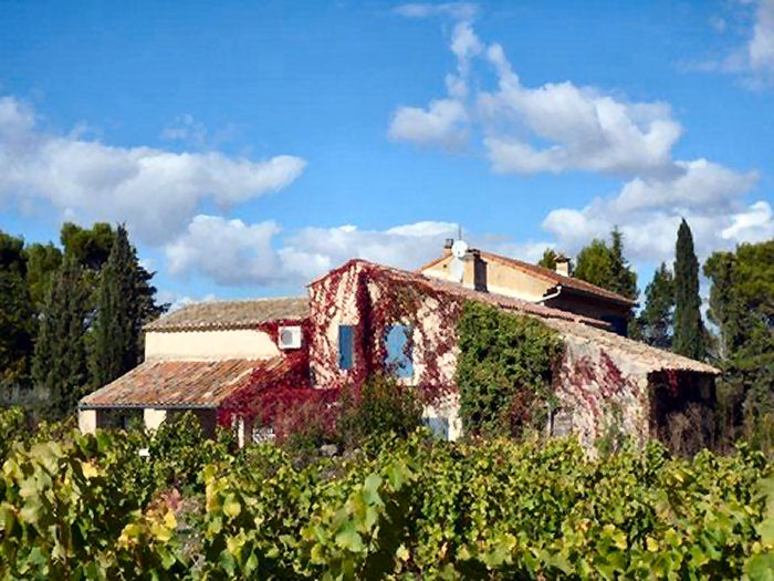 Le Mas de Gratteloup Provence-Alpes-Côte d'Azur - Buisson visuel 3/5