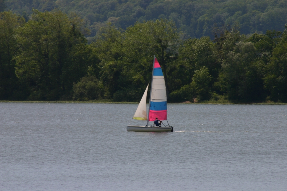 Pays de Langres et des 4 lacsLes chalets du lac de la Vingeance - Champagne-Ardennes - Villegusien le Lac visuel 5/9