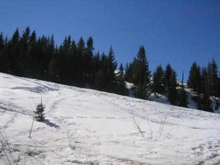Résidence Le Nogentil Rhône-Alpes - Courchevel 1850 visuel 2/11