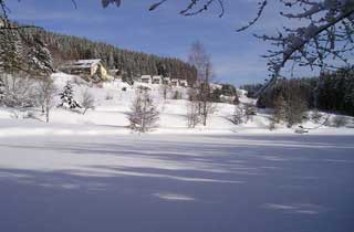 Résidence Les Chalets de La Vigotte Lorraine - Remiremont visuel 3/5