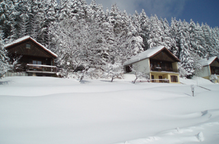 Résidence Les Chalets de La Vigotte Lorraine - Remiremont visuel 1/5