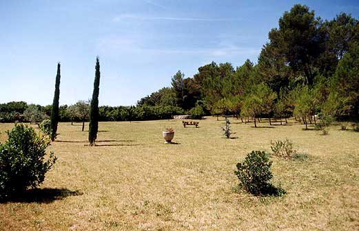 Résidence Les Jardins de Massane Languedoc-Roussillon - Montpellier visuel 3/16