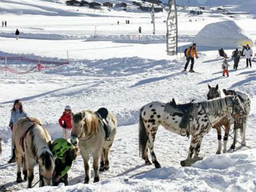 Résidence Maeva La Grande Motte Rhône-Alpes - Tignes - Val Claret visuel 10/13