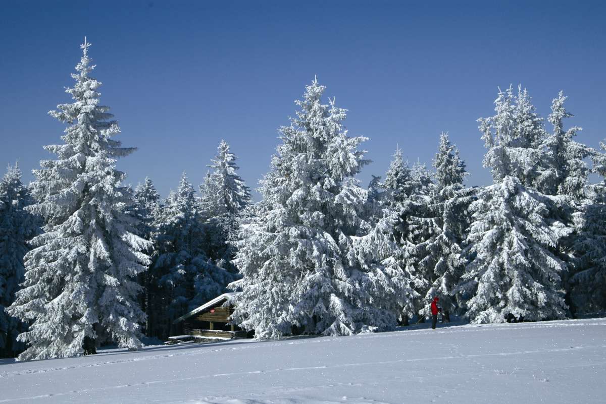 Village Vacances Les Géraniums Alsace - Obernai visuel 4/10