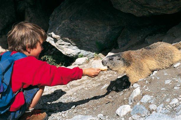 Village Vacances Les Rives de l'Arc Rhône-Alpes - Lanslevillard visuel 17/20