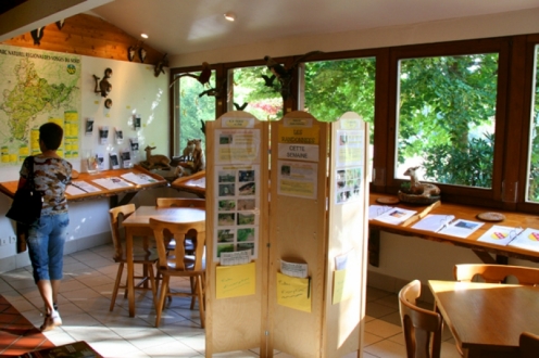 Village Vacances VVF Bitche Lorraine - Bitche visuel 6/10