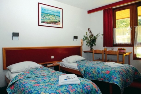 Village Vacances VVF Bitche Lorraine - Bitche visuel 9/10