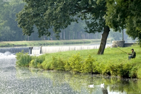 Village Vacances VVF Châteauneuf-du-Faou Bretagne - Châteauneuf-du-Faou visuel 4/10