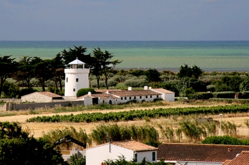 Village Vacances VVF Sainte-Marie-de-Ré Poitou-Charentes - La Couarde visuel 7/10