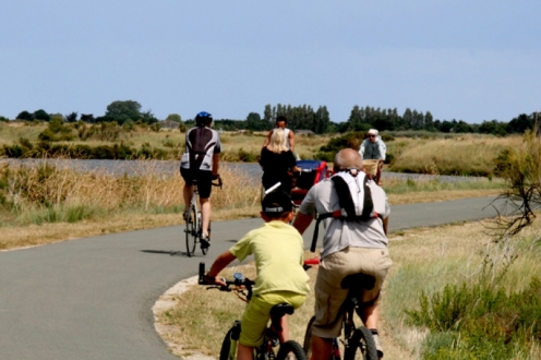 Village Vacances VVF Sainte-Marie-de-Ré Poitou-Charentes - La Couarde visuel 10/10