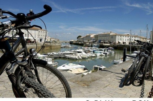 Village Vacances VVF Sainte-Marie-de-Ré Poitou-Charentes - La Couarde visuel 2/10