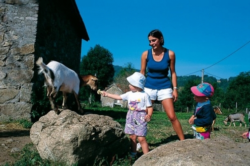 Village Vacances VVF Tence Auvergne - Tence visuel 3/9