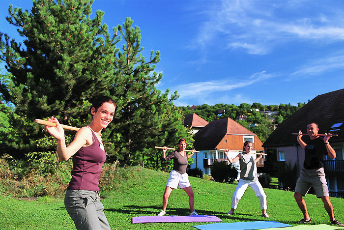 VVF Village Les Géraniums Alsace - Obernai visuel 5/7