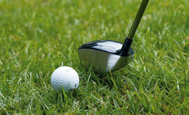 Belambra Club Le Domaine du Golf Pays de Loire - Saumur visuel 6/10