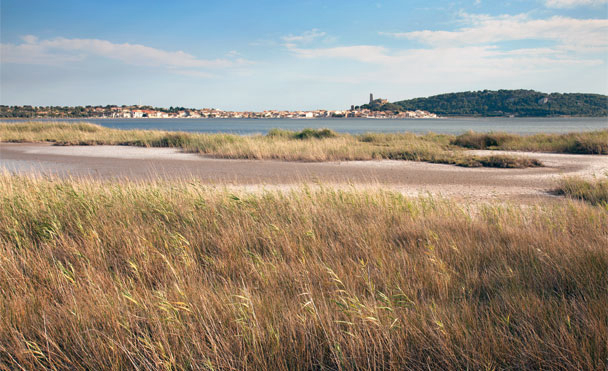 Belambra Club Les Ayguades Languedoc-Roussillon - Gruissan visuel 11/11