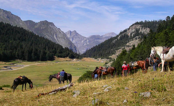 Belambra Club Lou Sarri Aquitaine - Gourette visuel 15/15