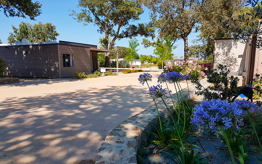 Domaine Casa e Natura Corse - Santa-Maria-Poggio visuel 5/10