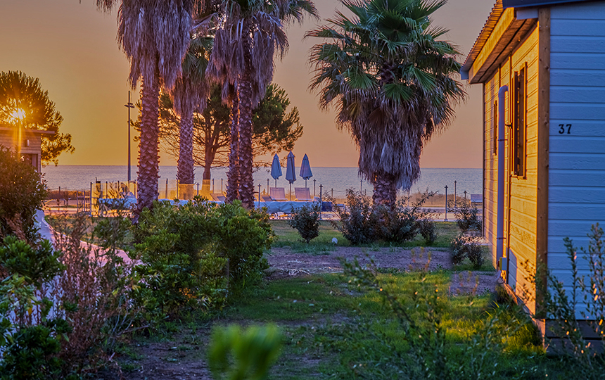 Domaine Casa e Natura Corse - Santa-Maria-Poggio visuel 6/10