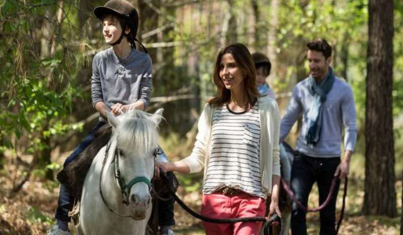 Domaine Les Hauts de Bruyères Grand Centre - Chaumont-sur-Tharonne visuel 9/23