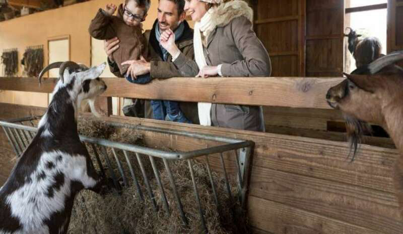 Domaine Les Trois Forêts Lorraine - Hattigny visuel 10/23