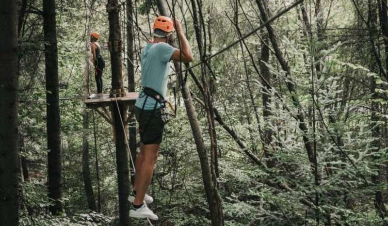 Domaine Les Trois Forêts Lorraine - Hattigny visuel 18/23