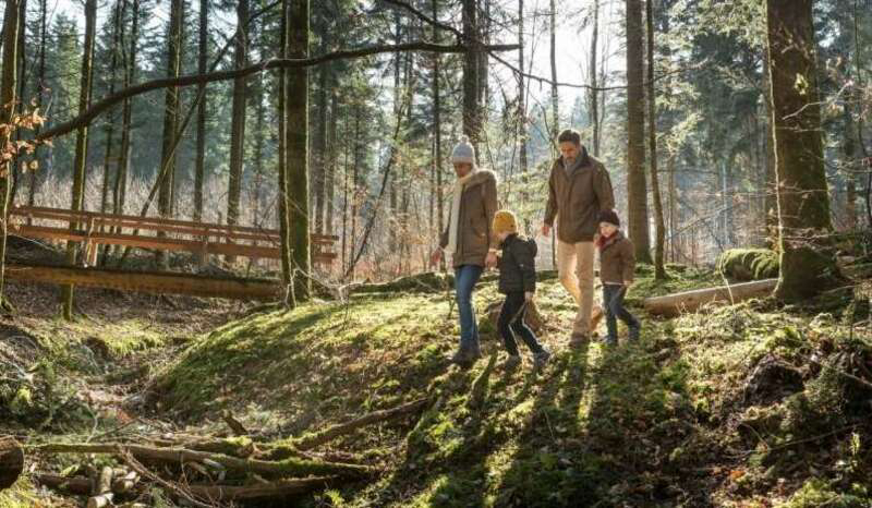 Domaine Les Trois Forêts Lorraine - Hattigny visuel 12/23