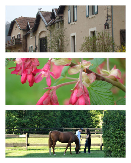 Gîte de randonnée du domaine de Marsoupe Lorraine - Saint-Mihiel visuel 2/2