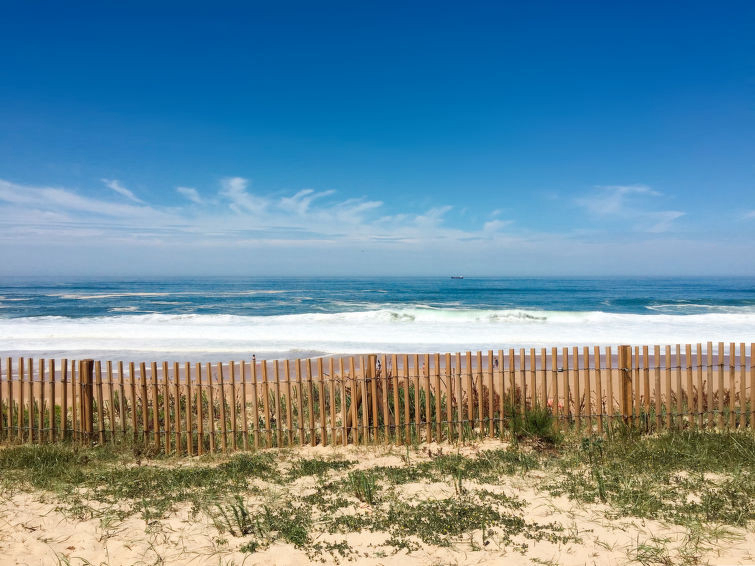 Le chant des milans Aquitaine - Ondres visuel 7/7