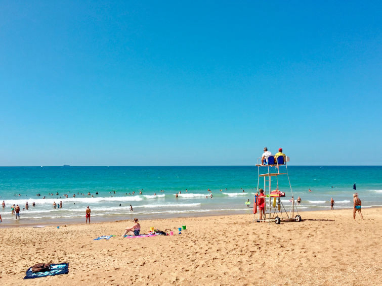 Le chant des milans Aquitaine - Ondres visuel 6/7