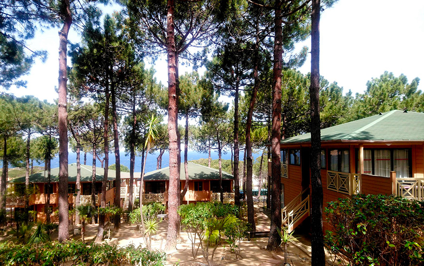 Résidence Les Pins Corse - Calvi visuel 2/8