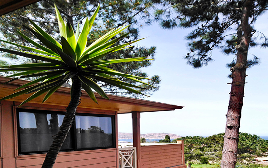 Résidence Les Pins Corse - Calvi visuel 4/8