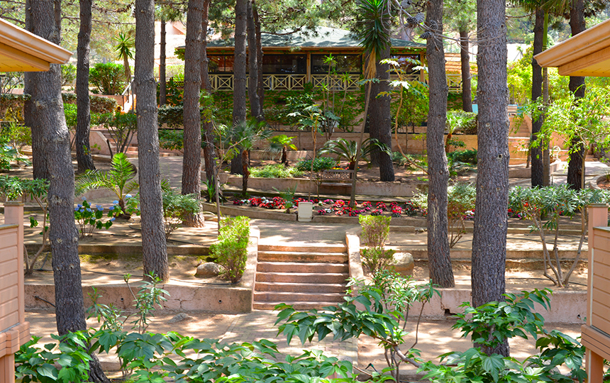 Résidence Les Pins Corse - Calvi visuel 3/8