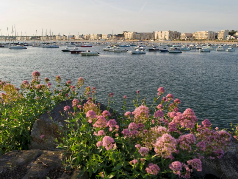 Résidence Pierre et Vacances Le Domaine du Bois de la Grée Pays de Loire - Pornichet visuel 2/12