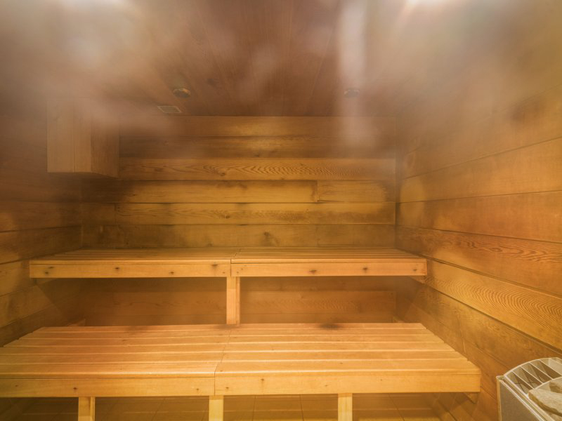 Résidence Pierre et Vacances Premium Les Fermes du Soleil Rhône-Alpes - Les Carroz d'Araches visuel 8/15