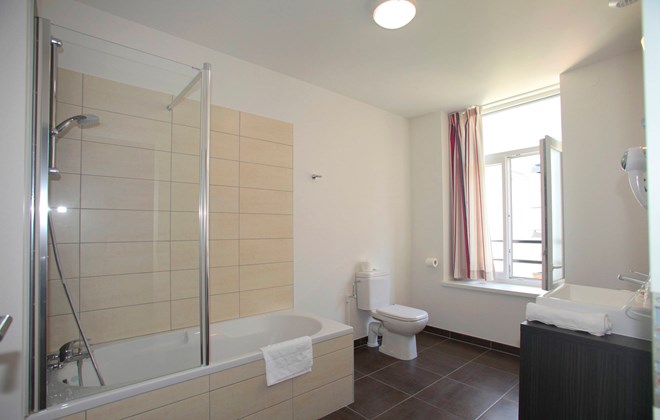 Appart'Hôtel Odalys La Rose d'Argent Alsace - Colmar visuel 8/10