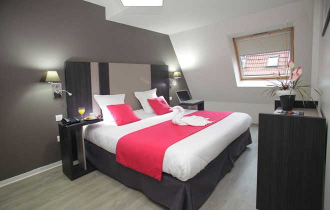 Appart'hôtel Green Marsh Alsace - Strasbourg visuel 8/8