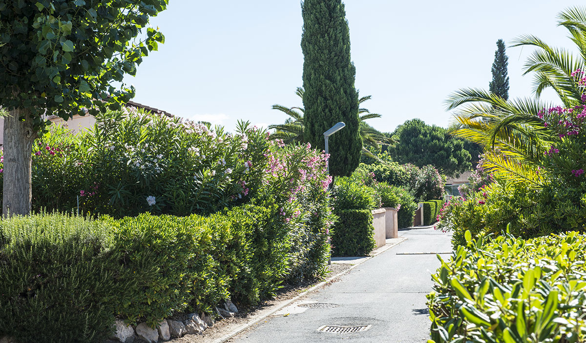 Domaine Les Tamaris et Les Portes du Soleil Languedoc-Roussillon - Portiragnes visuel 5/8