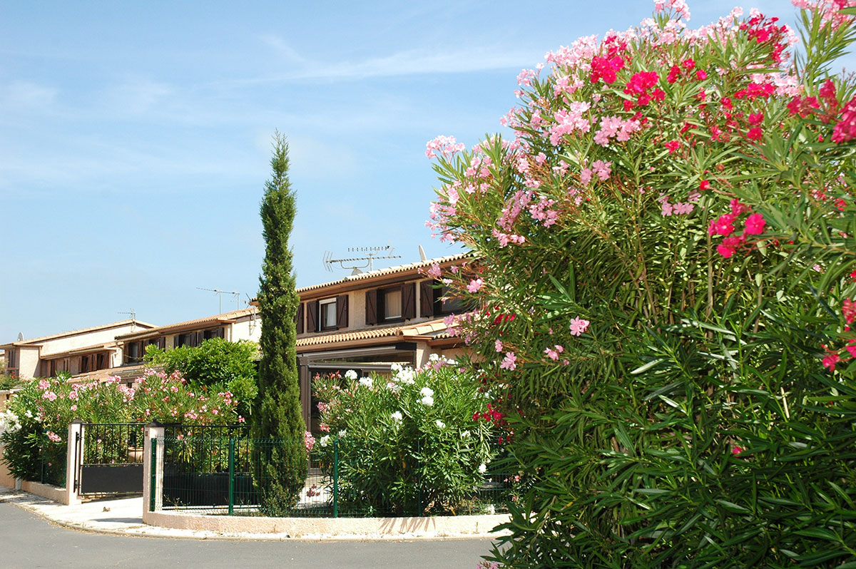 Domaine Les Tamaris et Les Portes du Soleil Languedoc-Roussillon - Portiragnes visuel 6/8