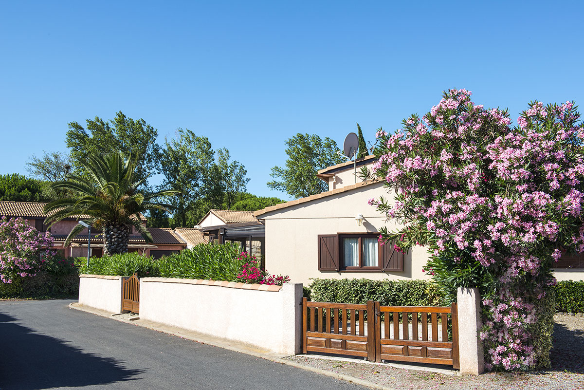 Domaine Les Tamaris et Les Portes du Soleil Languedoc-Roussillon - Portiragnes visuel 7/8