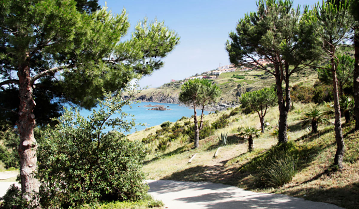 Résidence Grand Bleu le Village des Aloès Languedoc-Roussillon - Cerbère visuel 14/15