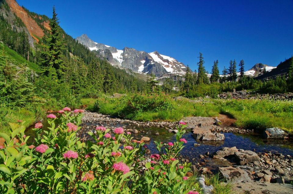 Résidence L'Arcelle Rhône-Alpes - Val Thorens visuel 2/13