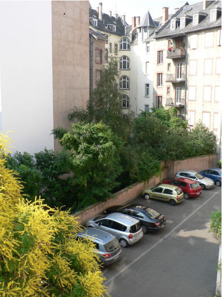 Appart'hôtel Cap Europe Alsace - Strasbourg visuel 2/10