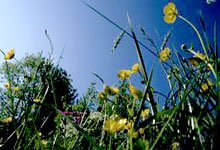 Résidence Beau Soleil ou Similaire Franche-Comté - Métabief visuel 1/2