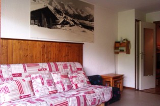 Résidence Bourdaine Rhône-Alpes - Le Grand-Bornand visuel 6/10