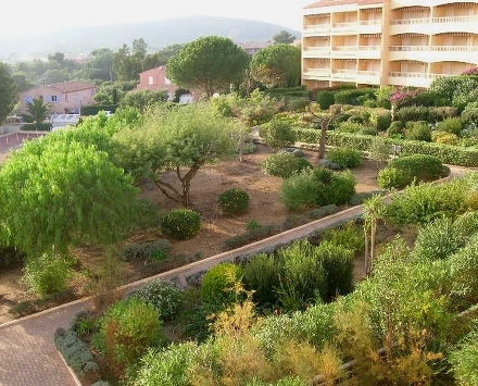 Résidence Brise Marine Provence-Alpes-Côte d'Azur - Bormes-les-Mimosas visuel 9/10