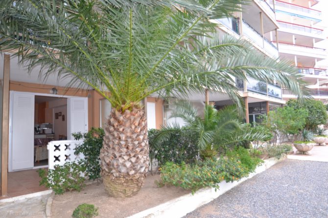 Résidence Cap Ferrat Costa Dorada - Salou visuel 3/4