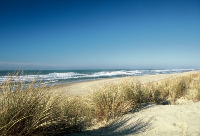 Résidence Capdeville Aquitaine - Soulac-sur-Mer visuel 8/11