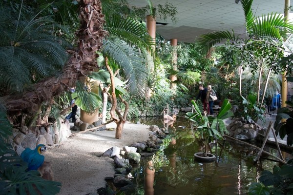 Center Parcs Domaine des Bois Francs - Haute-Normandie - Les Barils visuel 6/11