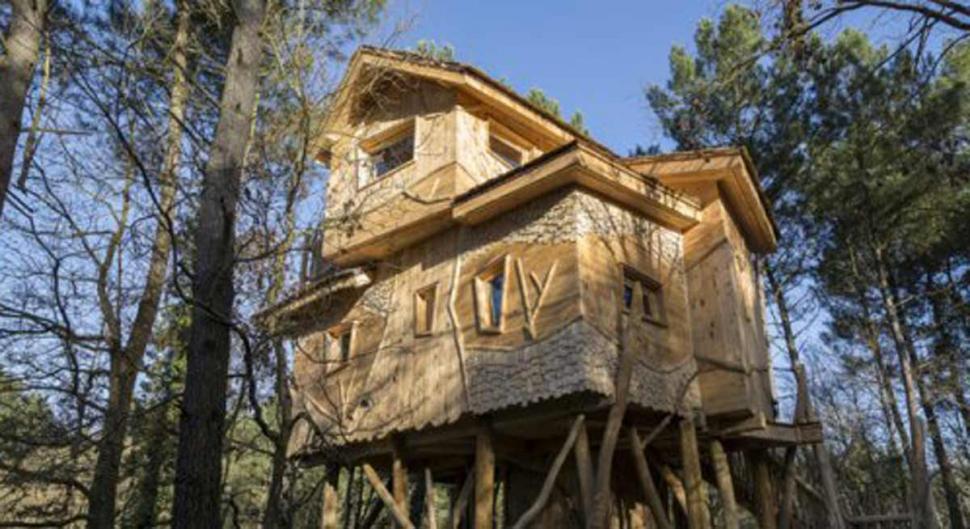 Center Parcs Domaine du Bois aux Daims - Poitou-Charentes - Morton visuel 11/12